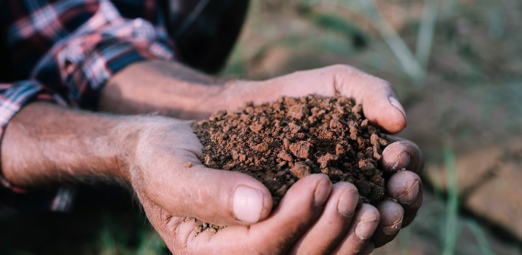Personne avec de la terre dans les main représentant l'écologie