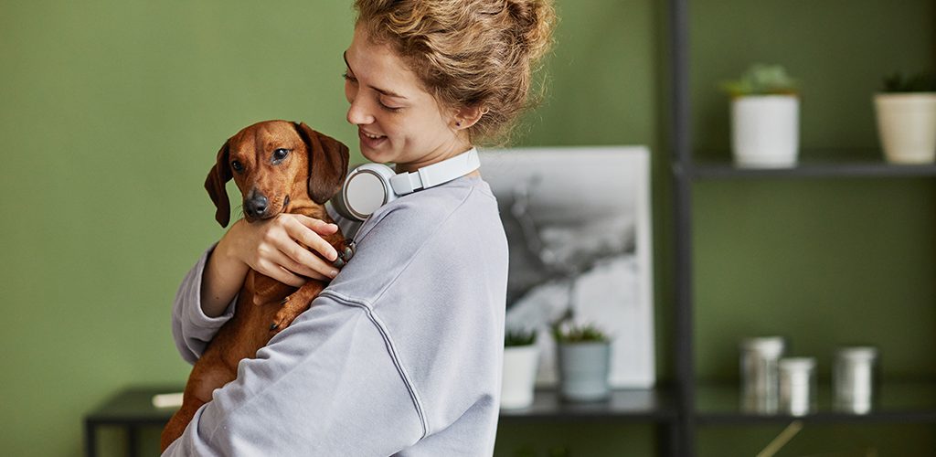 Happy young girl playing with her lovely dog during leisure time at home